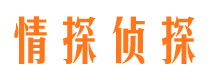 黑山市调查取证